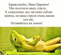 Роскошное жилище для лягушек
