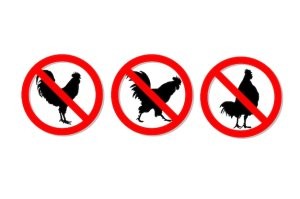 Варианты запрещающих знаков для электросамокатов...