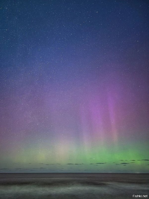 Ленинградская область... У нас в Зеленоградске Калининградской области тоже офигенно было. А мы поюжнее Питера сидим.