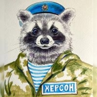 Вот наш енот