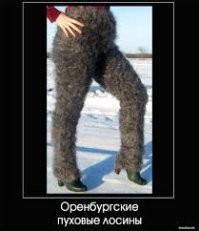 К чёрту полумеры.