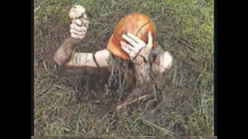 Фотоподборка