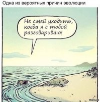 Глупейшие причины расставаний. Женская версия