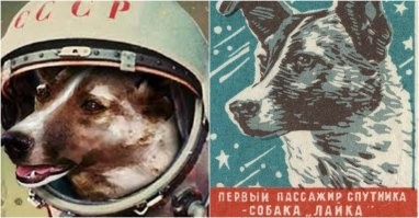 А они летели в космос?