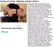 Фотоприколы и&nbsp;прикольные картинки