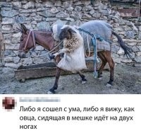 Идёт! И, такая, ещё вполголоса: "**ять, как за***ли эти ослы! Уроды тупые! Сам дойти не можешь что ли?! Води вас из одного аула в другой... Чё за работа!..."