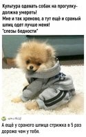 Фотоприколы и&nbsp;прикольные картинки