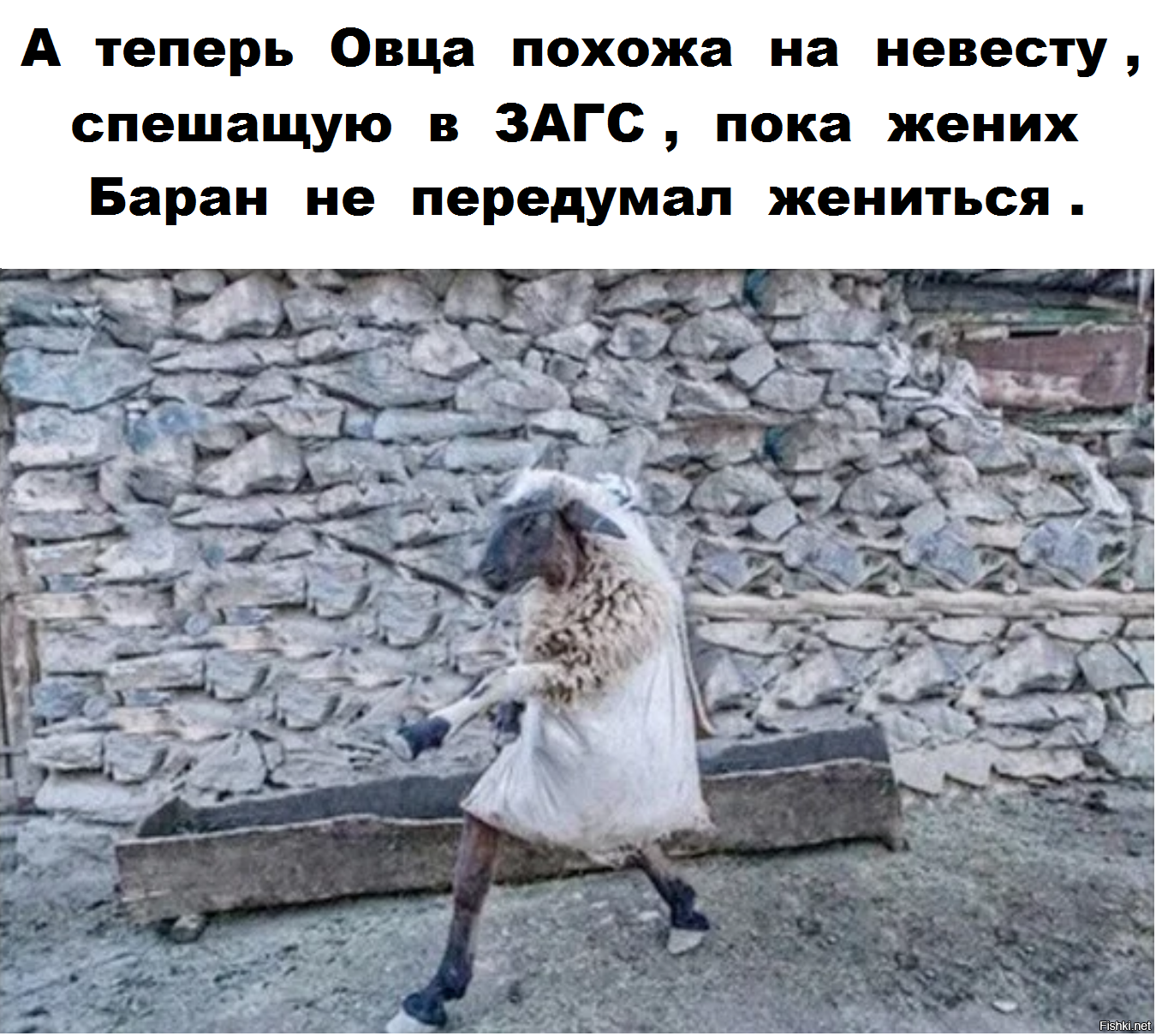 Комментарии и картинки из соцсетей. Свежак за 3 марта