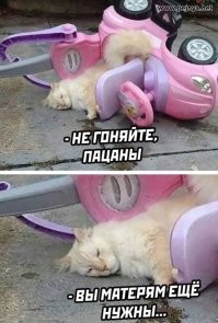 Подборка автоприколов на пятницу