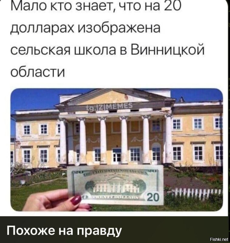 О политике и не только