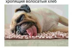 ХрОпящий????