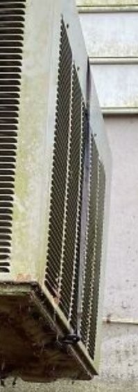 Он к забору привязан.