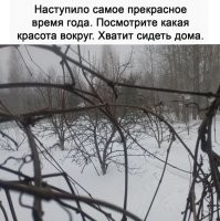 Только что сфотографировал.
