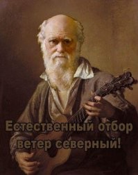 Турист захотел покорить Эльбрус в обычных кроссовках и поплатился жизнью