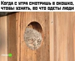 А на видео он уже вырос, я так думаю...)))