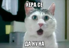 В Италии хирург по ошибке отрезал пациенту пенис