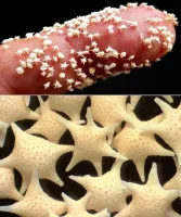 Наверное "приятно" на такое наступить..