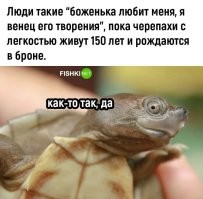 Не тонут вместо замерзания или смерти от засухи - впадают в спячку, а вся забора о потомстве - выкопала яму на берегу - высрала туда яйца - закопала - и гудбай, май бэби!