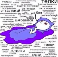 не зачем переносить формат Reels и инсты на Фишки...старой картинки достаточно...