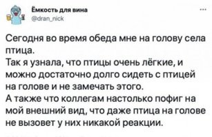 Фотоприколы и&nbsp;прикольные картинки