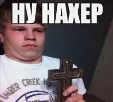 Какие звуки издает самая опасная птица на земле