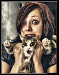 30 уморительных кадров с котами, которые надолго зарядят позитивом