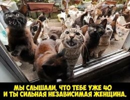 Бабушка выбирает внучке женихов: в соцсетях завирусился пост 22-летней Сони
