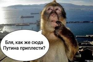 Особь