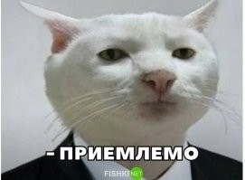 Отличная реакция мужчины уберегла его товарища от фингала