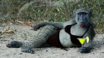 всегда есть выход