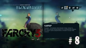 Какие звуки издает самая опасная птица на земле