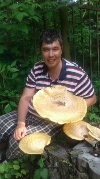 Не знаю как называется. Это пару лет назад. Тимирязевский лес.