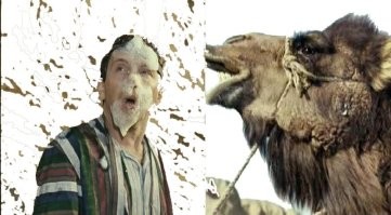 Попытка туристки прокатиться на верблюде