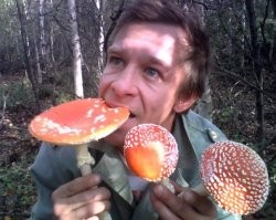О грибах.
"Механизмом отравления является употребление ядовитых грибов с целью достижения наркотического опьянения. Галлюциногенное действие иботеновой кислоты и ее производных делает мухомор объектом внимания наркозависимых лиц."