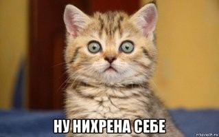 Страшное ДТП со спецэффектами на платной дороге