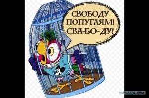 Сотрудница полиции успокоила дерзкого подростка