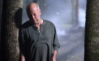 И ещё жаль, что жизнь - такая короткая штука....