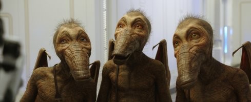 Он ест детенышей крокодилов на&nbsp;обед: 7&nbsp;фактов о&nbsp;сказочной птице-китоглаве