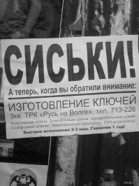 Фотоприколы и&nbsp;прикольные картинки