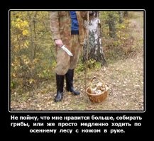 19 случаев, когда люди отправились в лес и наткнулись на настоящий грибной клад