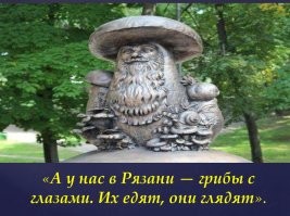 19 случаев, когда люди отправились в лес и наткнулись на настоящий грибной клад