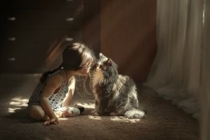 30 уморительных кадров с котами, которые надолго зарядят позитивом