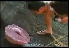 Персики, они такие...