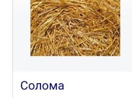 Попытка туристки прокатиться на верблюде