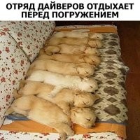АХ@ЕТЬ СМЕШНО