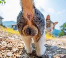 18 уникальных фотографий под непривычным углом