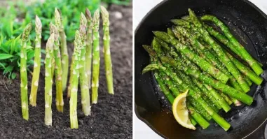 не ожидал , что Спаржа так необычно выглядит "в дикой природе" :-)