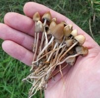 и тебя не догонит «Скорая помощь»