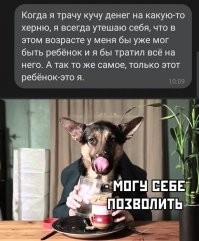 Во-во мне это хорошо знакомо, лежал в больничке в прошлом декабре, мне сосед по палате рассказывает про семью, детей, жену, любовницу, а я ему рассказал, что на день холостяка в Китае, заказал себе детали для апгрейда компа, с али, на две штуки баксов. Сопалатник искренне удивлялся, что так дорого. А я если честно не спросил, во сколько ему всё это обходится.