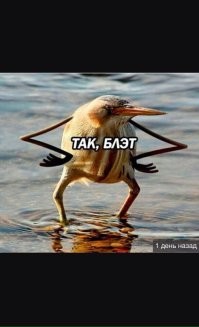 ёпта опять липисдричество кострюлкам дали, непорядок.